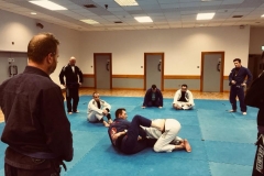 BJJ-School-Belfast-Brazilian-Jiu-Jitsu-Classes-Lough-Moss-thursday-23-February-2018-image001