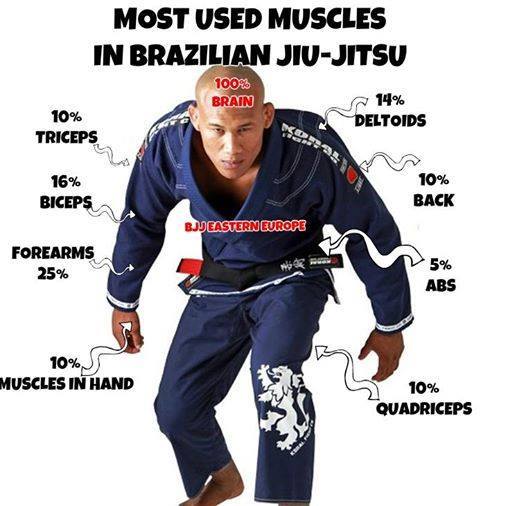 jiu-jitsu muscles